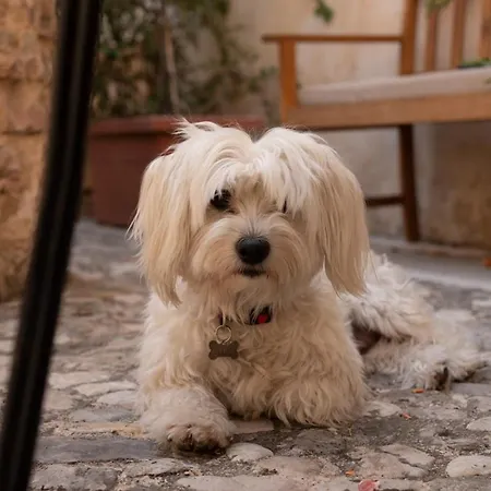 Gospodarstwo wiejskie Relais Convento Santa Croce SantʼAnatolia di Narco